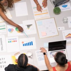 about-syntex-solution-company
